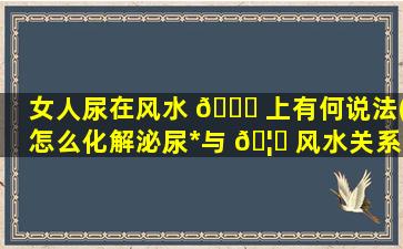 女人尿在风水 🐕 上有何说法(怎么化解泌尿*
与 🦅 风水关系)